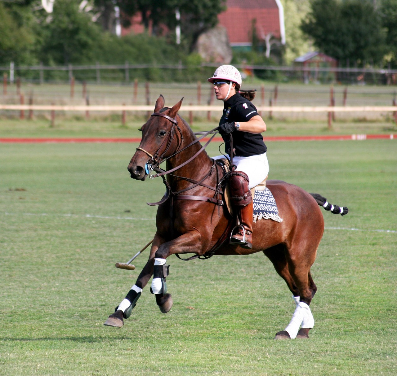 Polosport