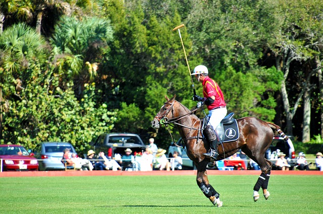 Polo