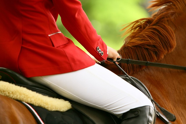 Reiten