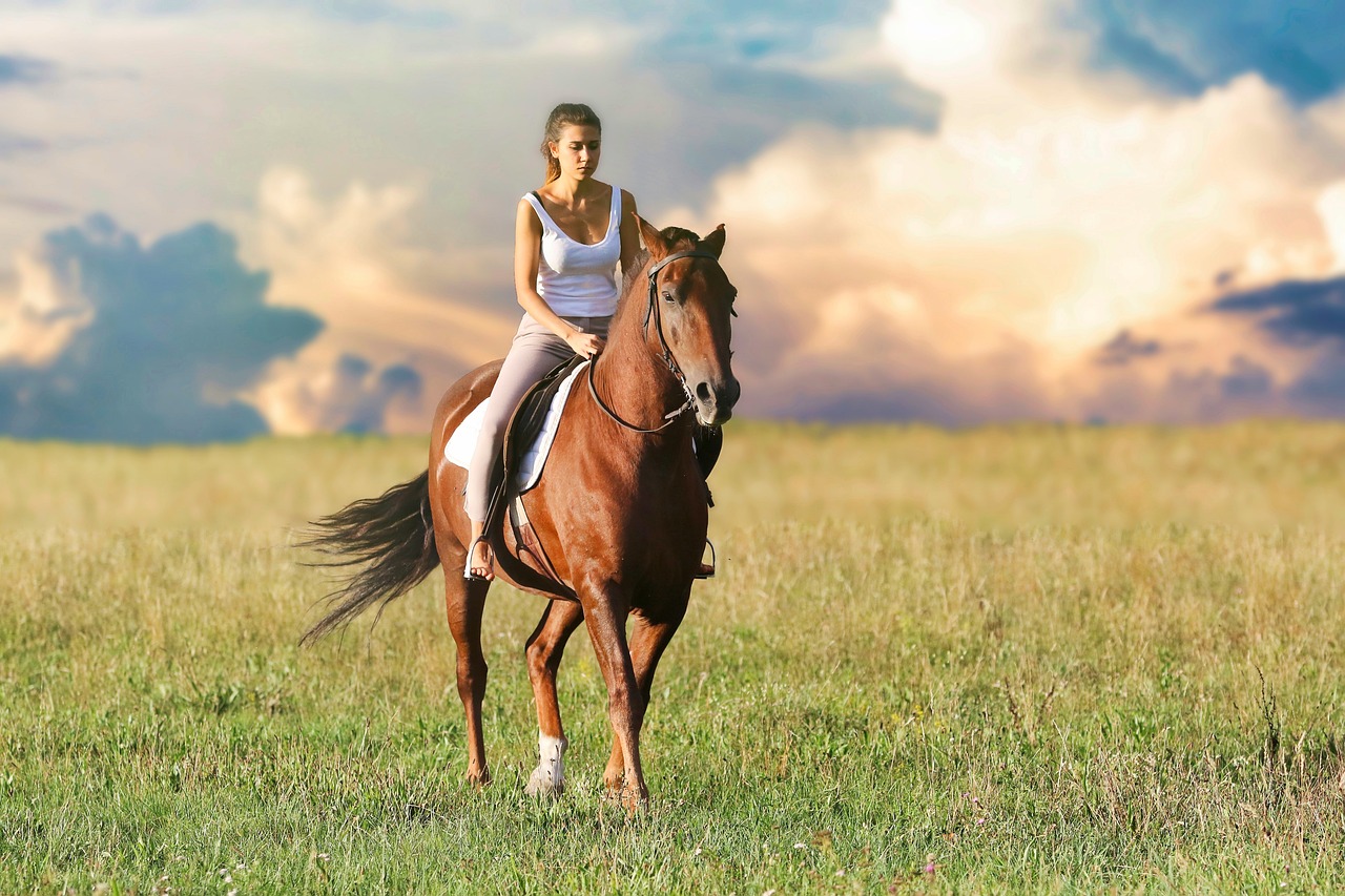 Reitsport